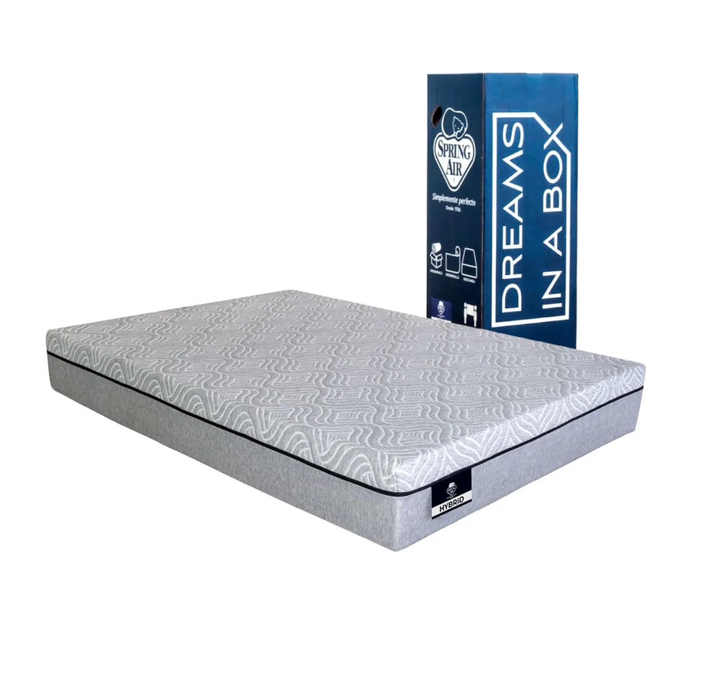 DREAMS IN A BOX HYBRID