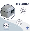 DREAMS IN A BOX HYBRID